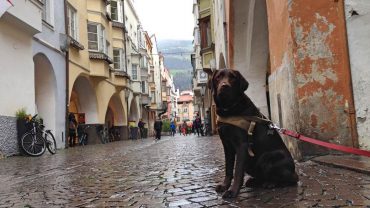 Dit wist je niet over ziektekosten in het buitenland