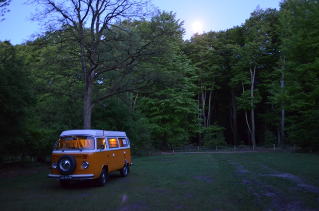 Vraag naar huur-volkswagenbusjes piekt Vraag naar huur-volkswagenbusjes piekt