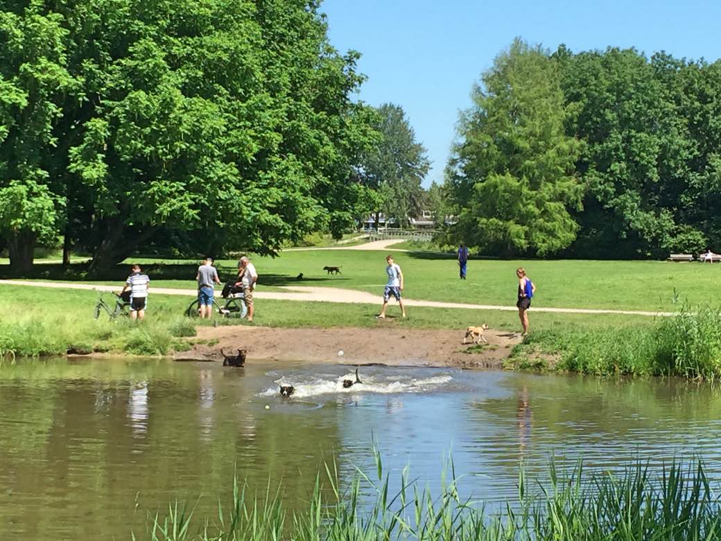 Tips & Tricks: op vakantie met je huisdier Tips & Tricks: op vakantie met je huisdier