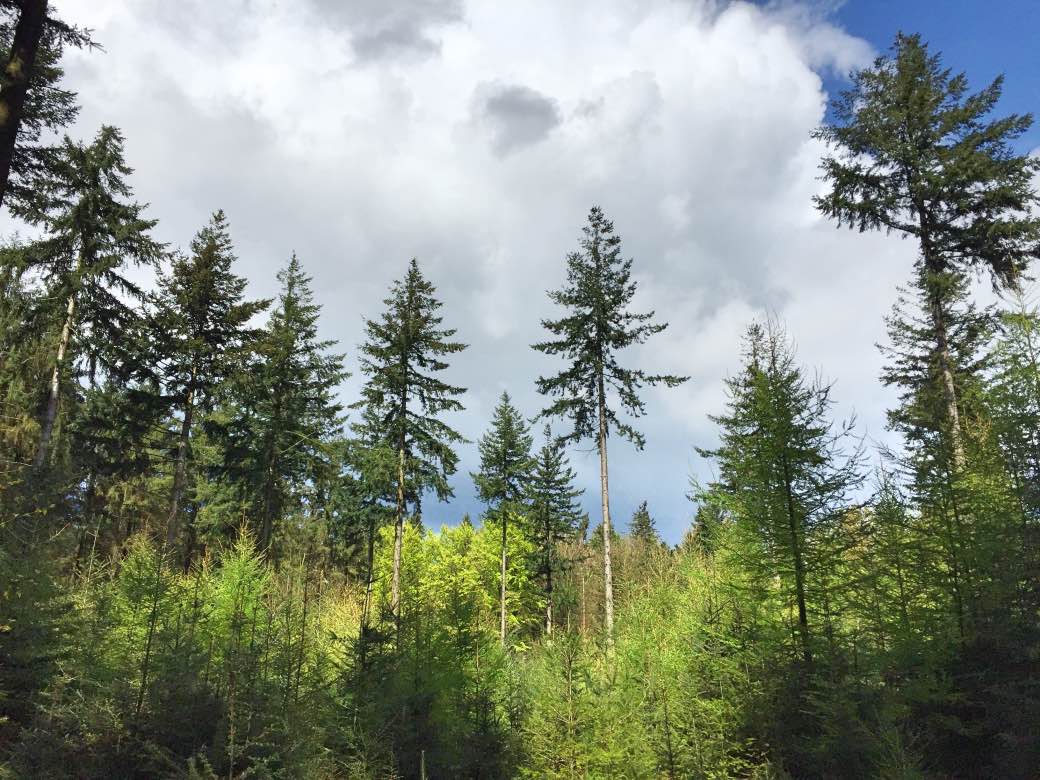 De insiders-gids voor leven in Frankrijk