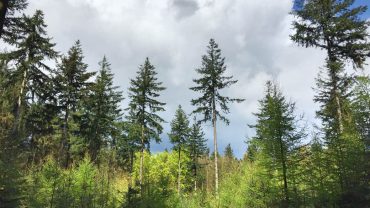 Wandelen door de Nederlandse geschiedenis met een app
