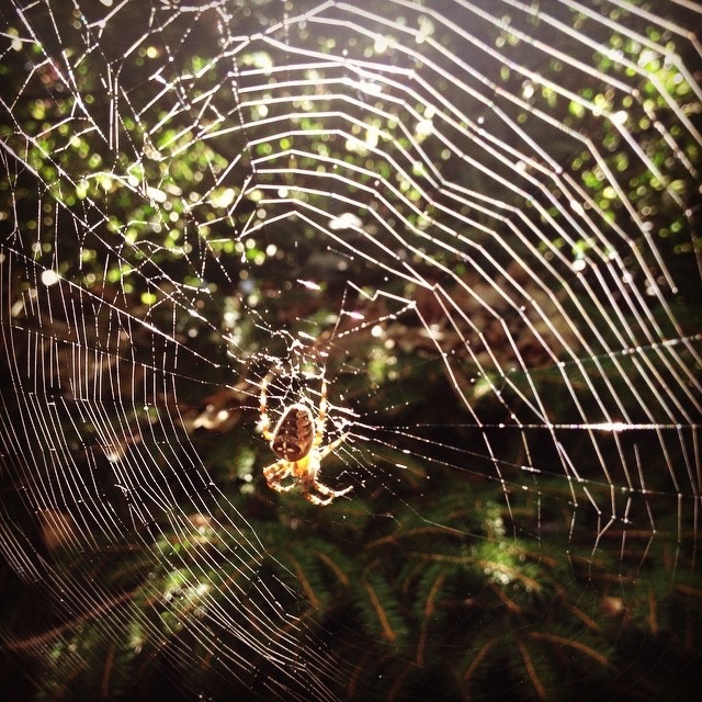 Zo kun je Griezelen in Texas Zo kun je Griezelen in Texas
