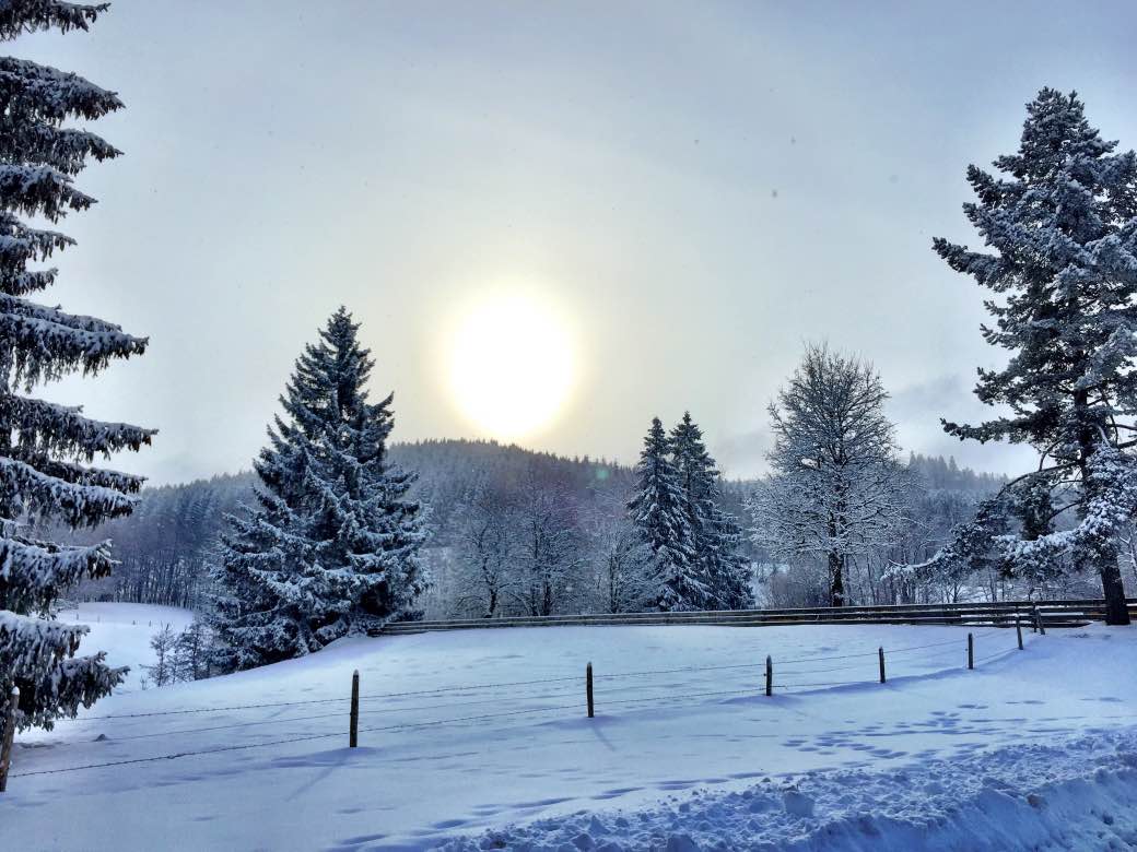 Noorse wintersport: veel meer dan skiën alleen Noorse wintersport: veel meer dan skiën alleen