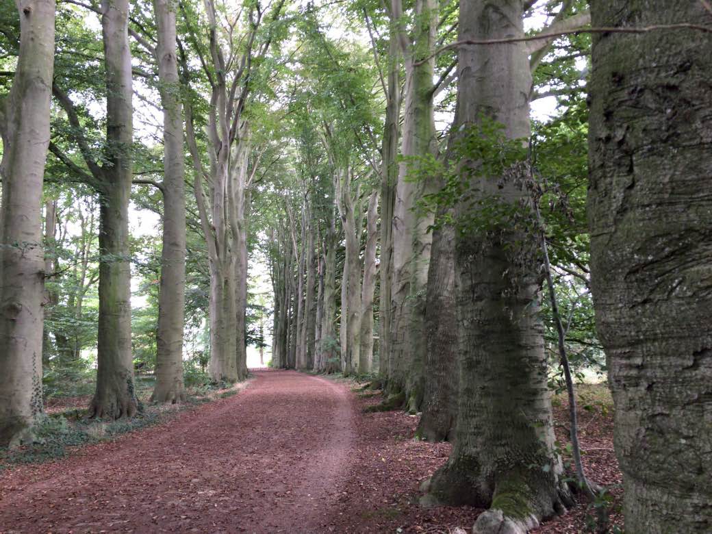 Test: Klompenpaden app Test: Klompenpaden app