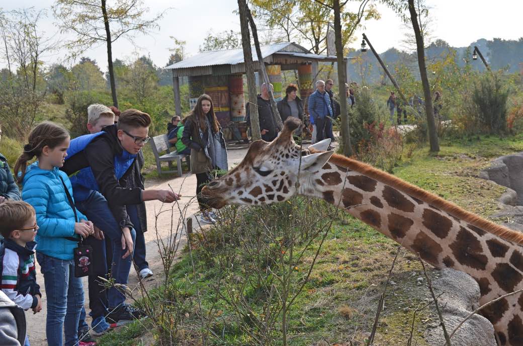 Welke stekker gebruiken ze daar?