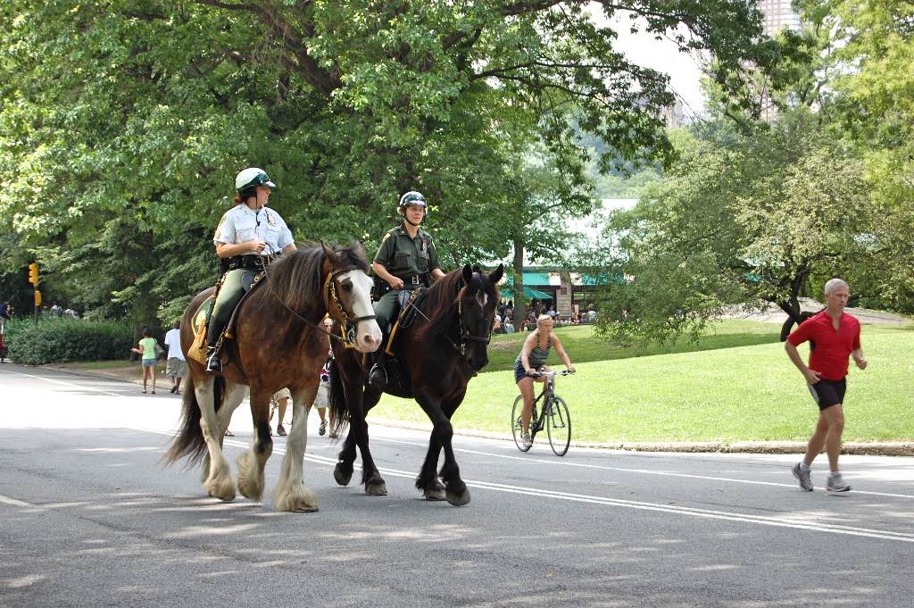 In New York heb je 1770 km fietspad, wist je dat? In New York heb je 1770 km fietspad, wist je dat?