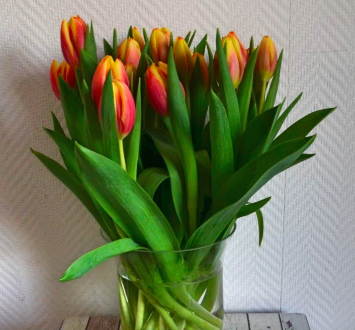 Tulpenfestival in Amsterdam als ontdekkingsreis