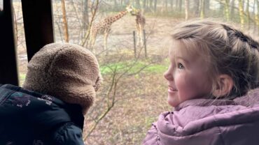 Bekijk bouw mangrove in Burgers Zoo Bekijk bouw mangrove in Burgers Zoo