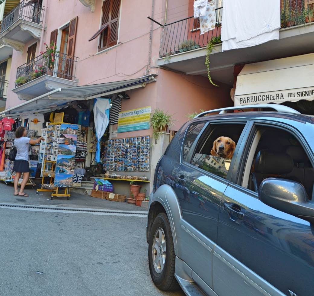 ANWB-leden willen uniformiteit milieuzones ANWB-leden willen uniformiteit milieuzones