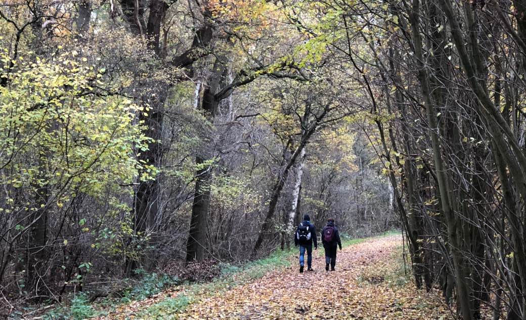 Christoffelpad van 40 km voert als ontdekkingsroute door Overijssel