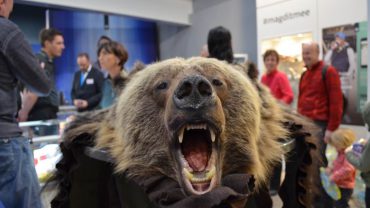 70% van vakantiegangers koopt souvenirs, maar weet niet wat de douaneregels zijn 70% van vakantiegangers koopt souvenirs, maar weet niet wat de douaneregels zijn