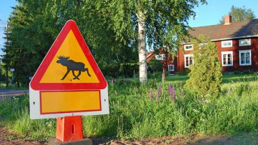 Kattegattleden (Zweden) fietsroute van 2018