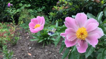 Kempense Abdijenroute aanrader voor minder mobiele toerist Kempense Abdijenroute aanrader voor minder mobiele toerist