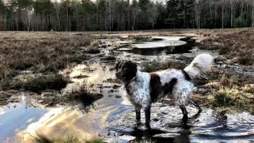 Bundeling 5000 wandelingen op 1 site