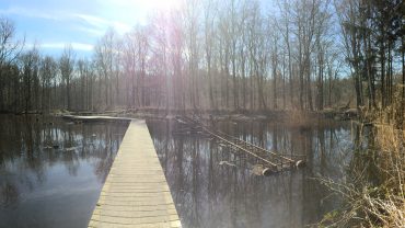 Ontdekkingsreizigers gevraagd voor Waterloopbos