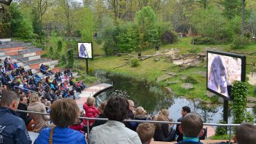 65-plussers geven tot 2023 miljoenen meer uit aan vakanties 65-plussers geven tot 2023 miljoenen meer uit aan vakanties