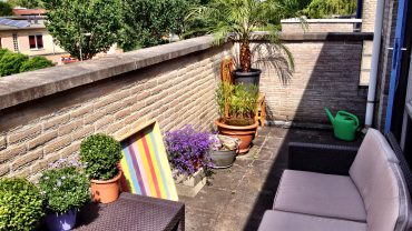 Dierenorganisaties zetten cartoons in tegen dierenleed op reis Dierenorganisaties zetten cartoons in tegen dierenleed op reis