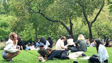 De 36 mooiste picknick-plekken van Nederland