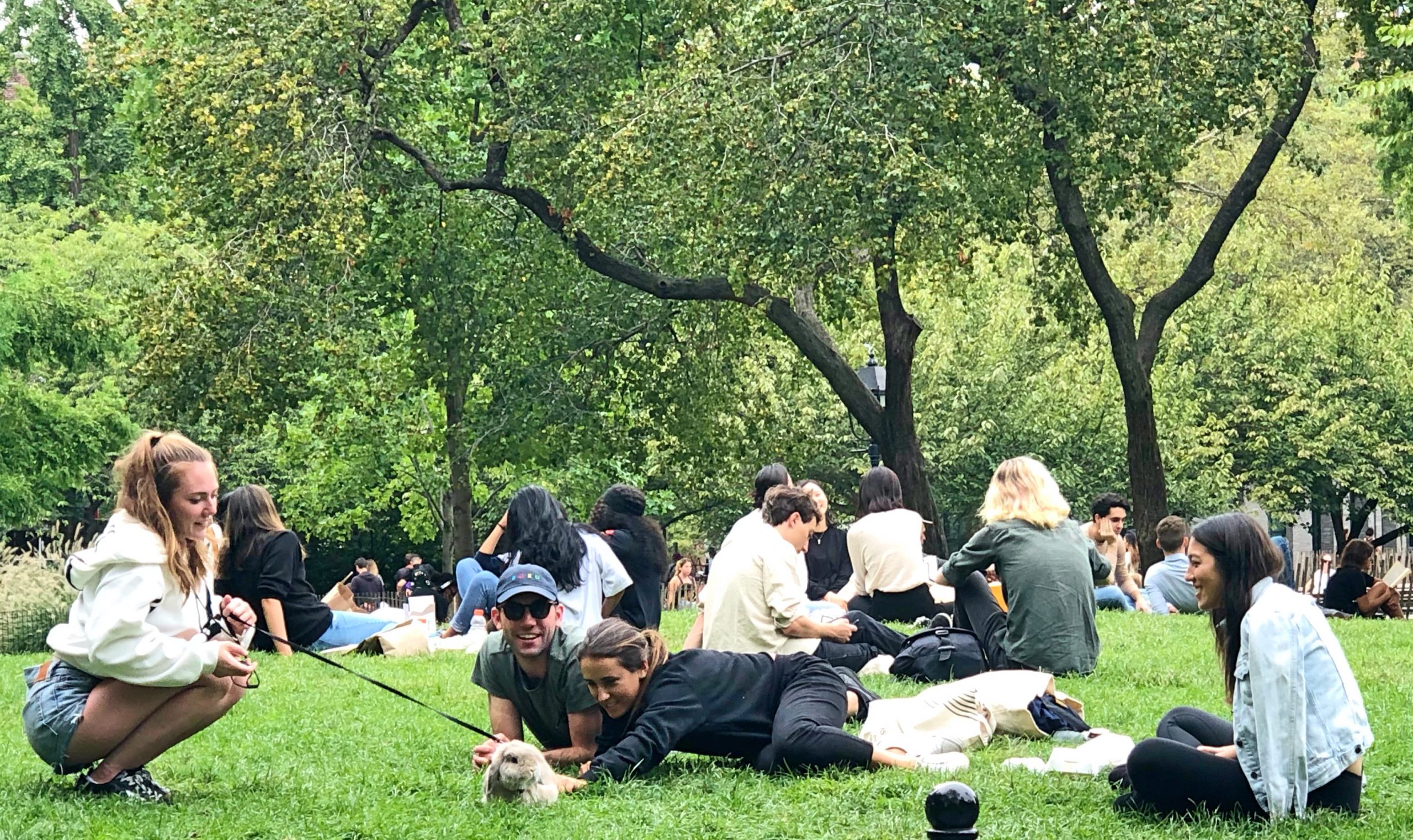 De 36 mooiste picknick-plekken van Nederland - Elke dag vakantie.nl