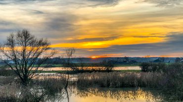 Reisreporters hebben nu eigen school