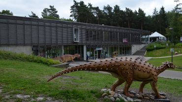 Dino’s kijken deze zomer?