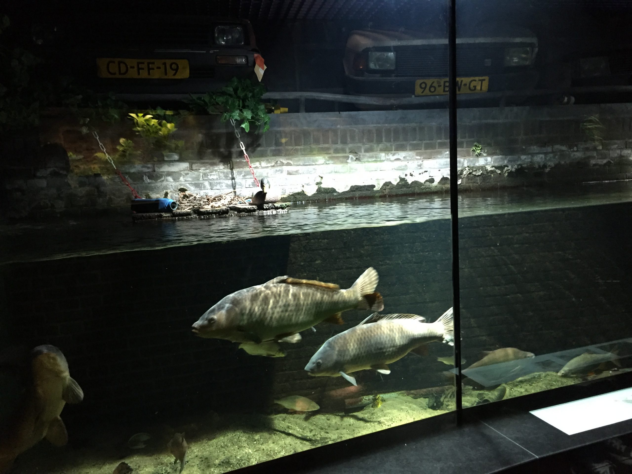 Limburg ‘lijkt wel buitenland’ Elke dag vakantie.nl