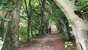 Wandelen is wonderlijk fijn
