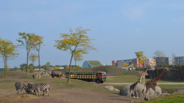 Dierenpark Emmen wordt ‘Wildlands’