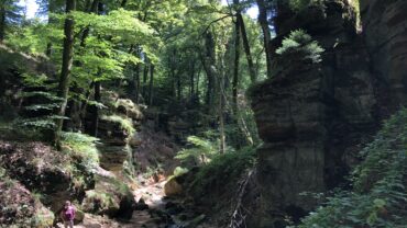 Gratis OV en bagageservice: Luxemburg voor fietsers en wandelaars