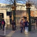 Kip Store Utrecht straalt in alles kampeergevoel uit Kip Store Utrecht straalt in alles kampeergevoel uit