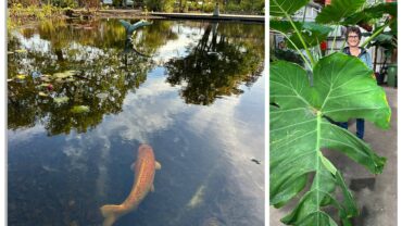 Hortus Leiden laat je de kracht van geuren ontdekken