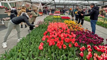 VIDEO | Zo’n mooi seizoen had Keukenhof in 2018