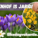 Keukenhof is jarig: Zo maak je er een mooie dag van