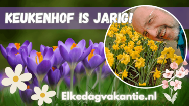 Keukenhof is jarig: Zo maak je er een mooie dag van Keukenhof is jarig: Zo maak je er een mooie dag van