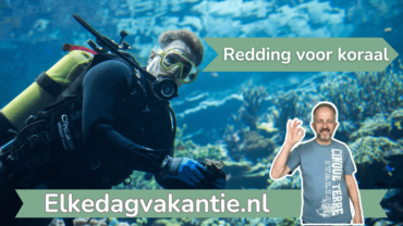 Triptip | Duik in Burgers’ Ocean – zo wordt koraal gered