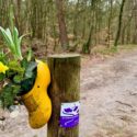 Wandelnet en ANWB: Laat wandelaars toe op boerenland