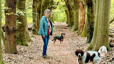 Wat wordt de mooiste wandelroute van 2025?