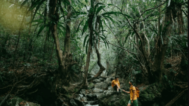 Dit zijn de 25 werelderfgoedlocaties waar Japan mee pronkt
