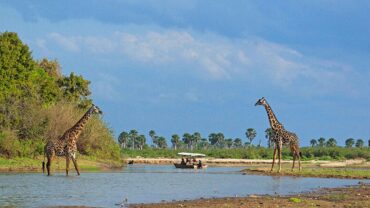 Corendon combineert Zanzibar met safari in Tanzania