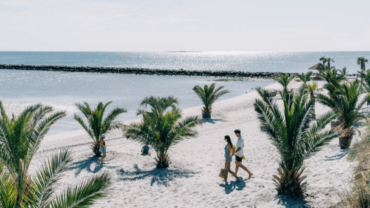 Denemarken heeft zijn eigen tropisch paradijs met honderden palmen