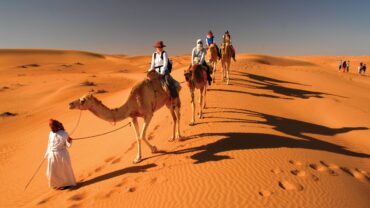 Schoonheidswedstrijden voor kamelen,  een bijzondere traditie in Oman