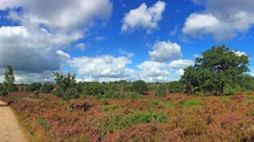 De beste nationale parken voor een herfstwandeling