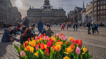 Honderdduizenden tulpen sieren 750-jarige hoofdstad