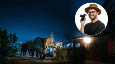 Olifanten en mensen, documentaire over dagelijkse strijd in Zambia Olifanten en mensen, documentaire over dagelijkse strijd in Zambia