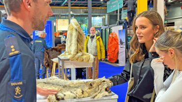 Van robot tot sprinkhaan, dit zijn de verrassingen op de Vakantiebeurs 2025