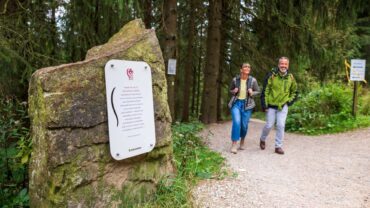 Wellness in Nedersaksen combineert zout, zee en bergen