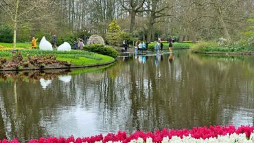 Keukenhof sluit seizoen af met 1,4 miljoen bezoekers Keukenhof sluit seizoen af met 1,4 miljoen bezoekers