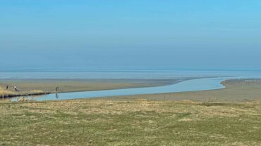Waar ooit 200 paarden vochten voor hun leven, wandel je nu in alle rust