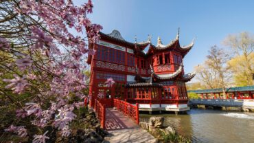 Tulpen, vlinders en een dino van 21 meter in Pairi Daiza