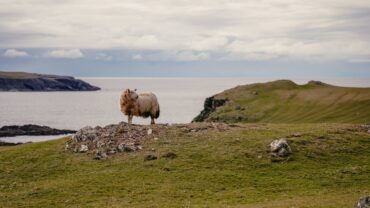 Nieuwe Ierland-reizen vanaf Groningen Airport